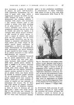 giornale/TO00199161/1941/unico/00000077