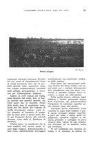 giornale/TO00199161/1941/unico/00000085