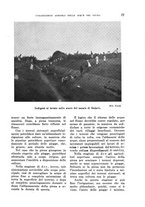 giornale/TO00199161/1941/unico/00000087