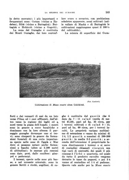 L'agricoltura coloniale organo dell'Istituto agricolo coloniale italiano e dell'Ufficio agrario sperimentale dell'Eritrea