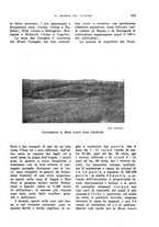 giornale/TO00199161/1941/unico/00000221