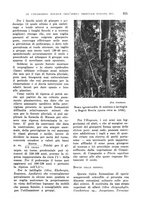 giornale/TO00199161/1941/unico/00000301