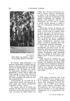 giornale/TO00199161/1941/unico/00000304