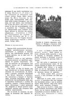 giornale/TO00199161/1941/unico/00000343