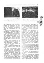 giornale/TO00199161/1941/unico/00000401