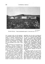 giornale/TO00199161/1941/unico/00000416