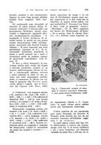 giornale/TO00199161/1942/unico/00000149