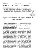 giornale/TO00199161/1942/unico/00000171