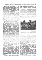 giornale/TO00199161/1942/unico/00000179