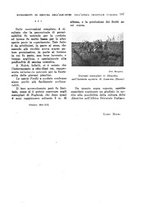 giornale/TO00199161/1942/unico/00000181