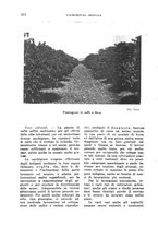 giornale/TO00199161/1942/unico/00000212