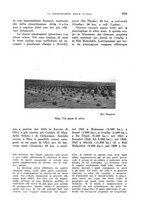 giornale/TO00199161/1942/unico/00000333
