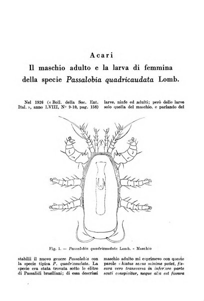 L'agricoltura coloniale organo dell'Istituto agricolo coloniale italiano e dell'Ufficio agrario sperimentale dell'Eritrea