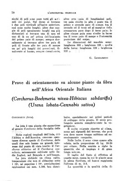 L'agricoltura coloniale organo dell'Istituto agricolo coloniale italiano e dell'Ufficio agrario sperimentale dell'Eritrea