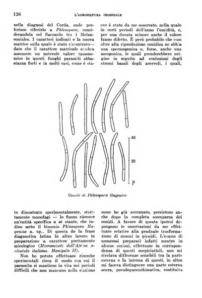 L'agricoltura coloniale organo dell'Istituto agricolo coloniale italiano e dell'Ufficio agrario sperimentale dell'Eritrea