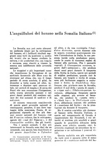 L'agricoltura coloniale organo dell'Istituto agricolo coloniale italiano e dell'Ufficio agrario sperimentale dell'Eritrea