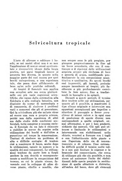 L'agricoltura coloniale organo dell'Istituto agricolo coloniale italiano e dell'Ufficio agrario sperimentale dell'Eritrea