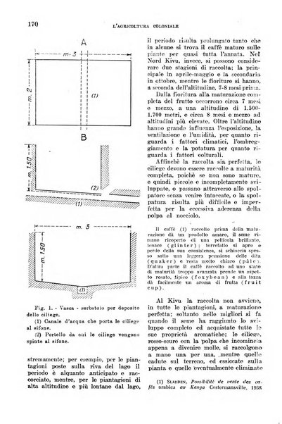 L'agricoltura coloniale organo dell'Istituto agricolo coloniale italiano e dell'Ufficio agrario sperimentale dell'Eritrea