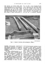 giornale/TO00199161/1943/unico/00000205