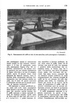 giornale/TO00199161/1943/unico/00000207