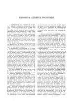 giornale/TO00199161/1943/unico/00000220
