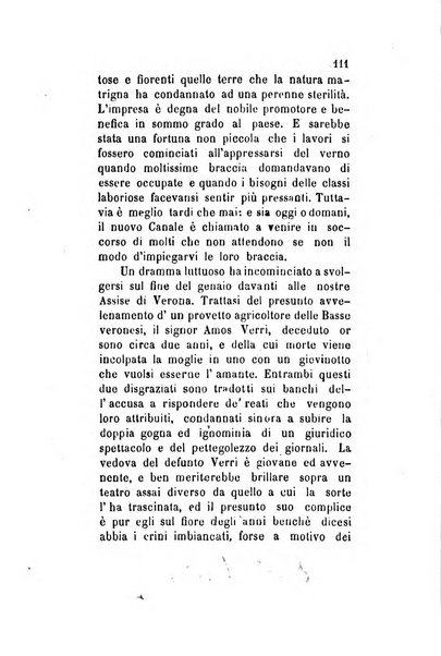 Archivio storico veronese Raccolta di documenti e notizie riguardanti la storia politica, amministrativa, letteraria e scientifica della città e della provincia