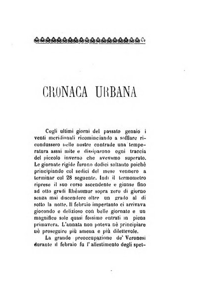 Archivio storico veronese Raccolta di documenti e notizie riguardanti la storia politica, amministrativa, letteraria e scientifica della città e della provincia