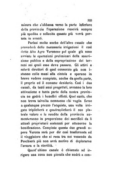 Archivio storico veronese Raccolta di documenti e notizie riguardanti la storia politica, amministrativa, letteraria e scientifica della città e della provincia