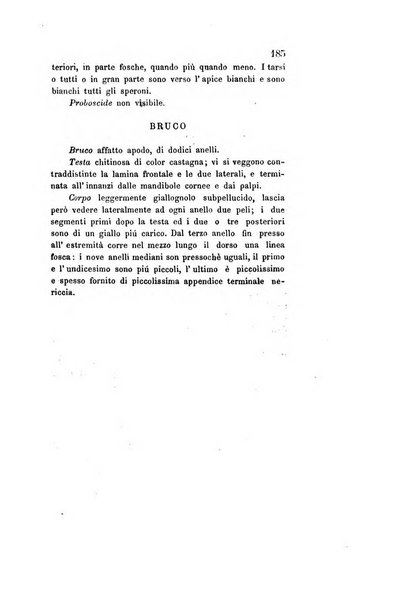 Archivio storico veronese Raccolta di documenti e notizie riguardanti la storia politica, amministrativa, letteraria e scientifica della città e della provincia