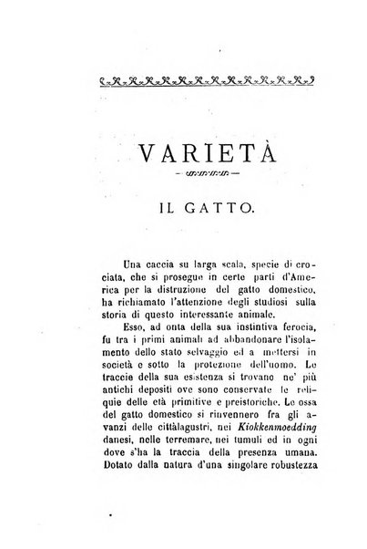 Archivio storico veronese Raccolta di documenti e notizie riguardanti la storia politica, amministrativa, letteraria e scientifica della città e della provincia