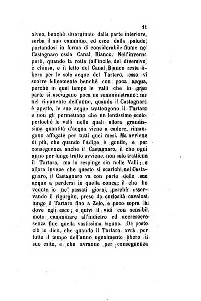 Archivio storico veronese Raccolta di documenti e notizie riguardanti la storia politica, amministrativa, letteraria e scientifica della città e della provincia