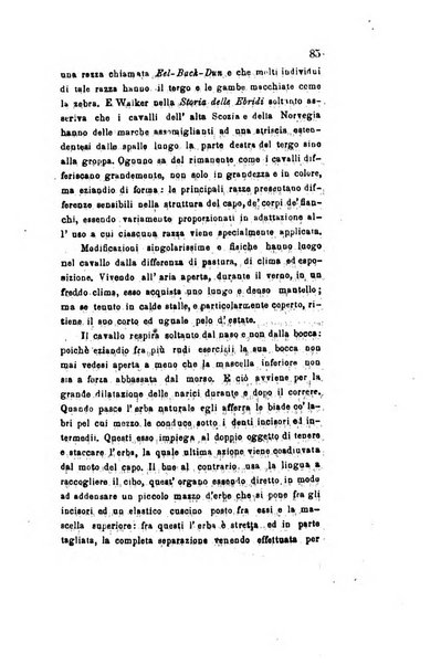 Archivio storico veronese Raccolta di documenti e notizie riguardanti la storia politica, amministrativa, letteraria e scientifica della città e della provincia