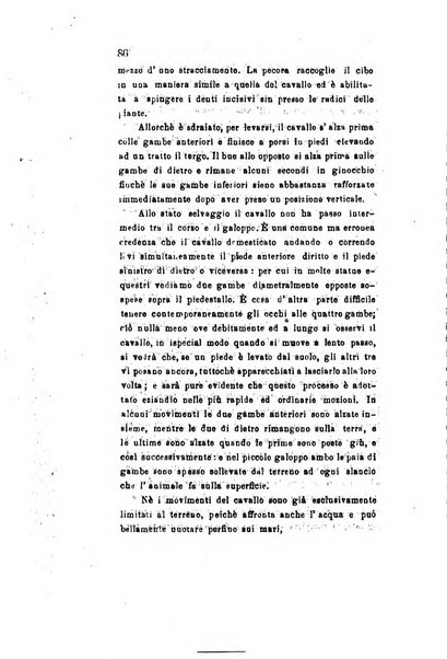 Archivio storico veronese Raccolta di documenti e notizie riguardanti la storia politica, amministrativa, letteraria e scientifica della città e della provincia