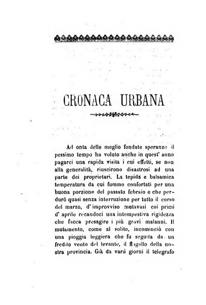 Archivio storico veronese Raccolta di documenti e notizie riguardanti la storia politica, amministrativa, letteraria e scientifica della città e della provincia