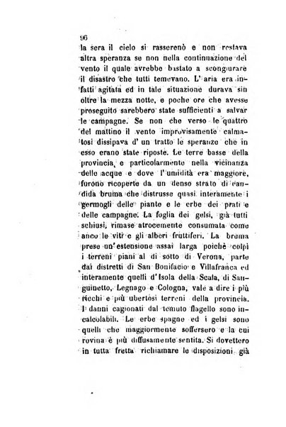 Archivio storico veronese Raccolta di documenti e notizie riguardanti la storia politica, amministrativa, letteraria e scientifica della città e della provincia