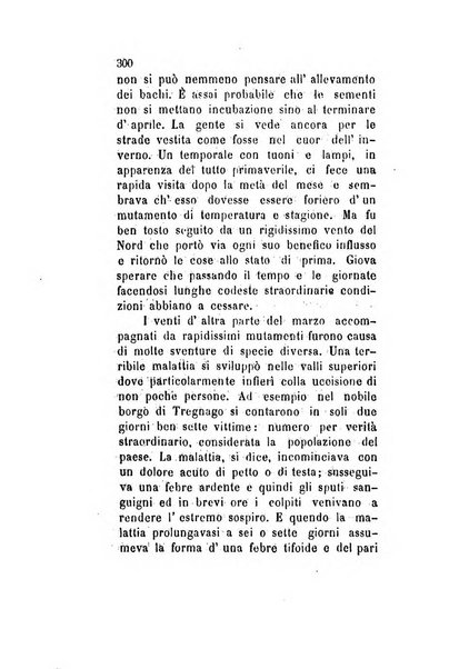 Archivio storico veronese Raccolta di documenti e notizie riguardanti la storia politica, amministrativa, letteraria e scientifica della città e della provincia