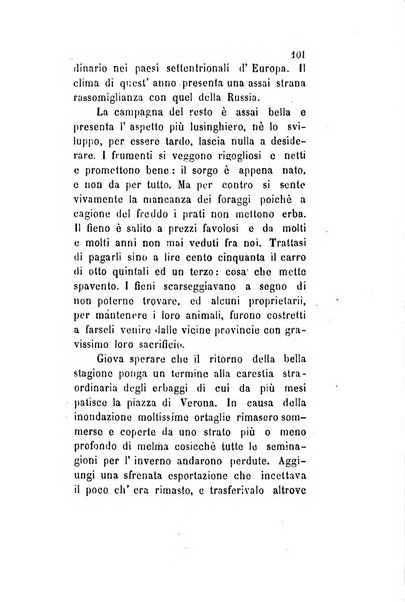 Archivio storico veronese Raccolta di documenti e notizie riguardanti la storia politica, amministrativa, letteraria e scientifica della città e della provincia