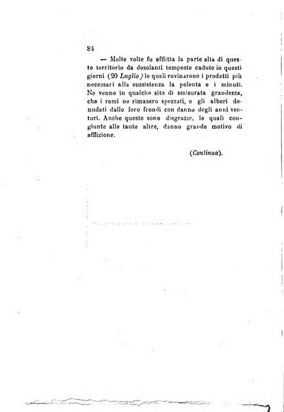 Archivio storico veronese Raccolta di documenti e notizie riguardanti la storia politica, amministrativa, letteraria e scientifica della città e della provincia