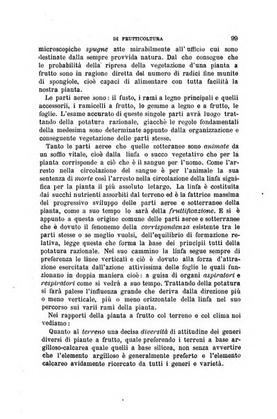 L'economia rurale, le arti ed il commercio