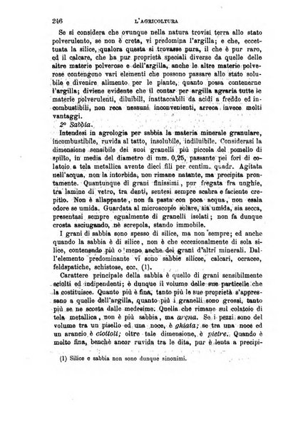 L'economia rurale, le arti ed il commercio