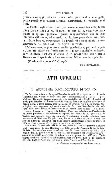 L'economia rurale, le arti ed il commercio