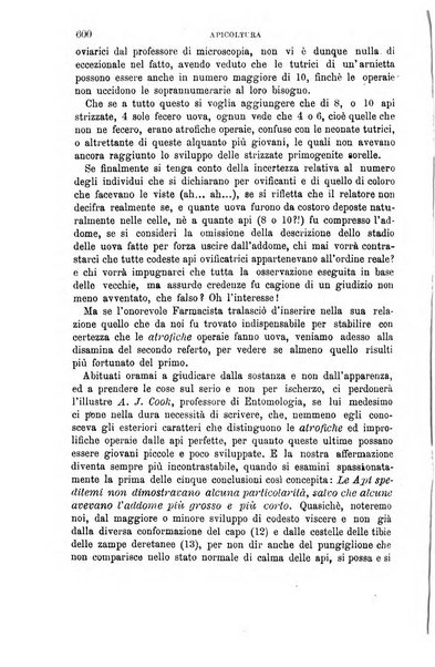 L'economia rurale, le arti ed il commercio