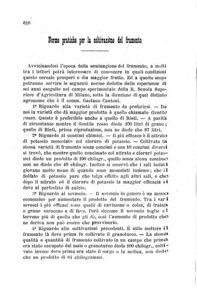 L'economia rurale, le arti ed il commercio