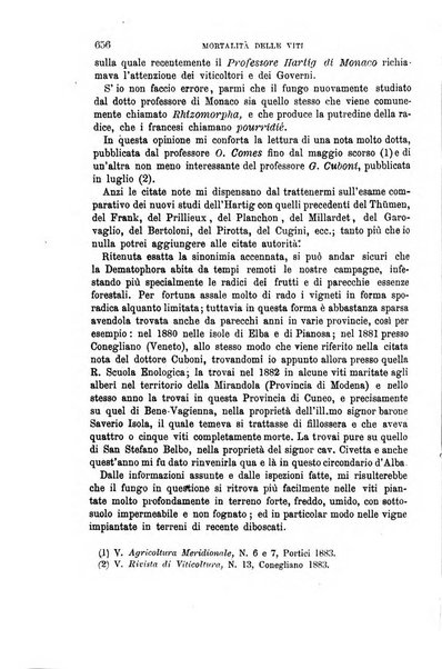 L'economia rurale, le arti ed il commercio