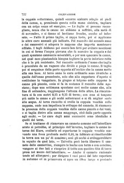 L'economia rurale, le arti ed il commercio