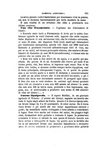 L'economia rurale, le arti ed il commercio