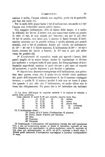 L'economia rurale, le arti ed il commercio