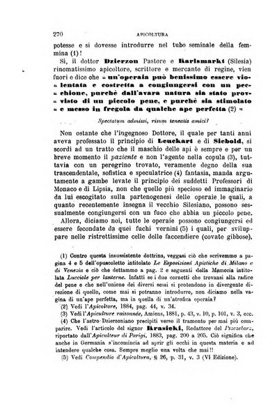 L'economia rurale, le arti ed il commercio