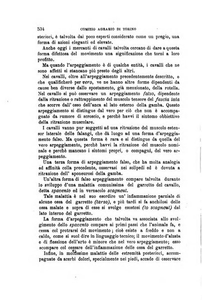 L'economia rurale, le arti ed il commercio