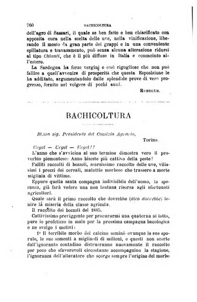 L'economia rurale, le arti ed il commercio